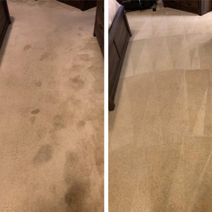 Photograph of work done by Pro-Clean Carpets