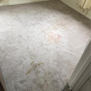 Photograph of work done by Pro-Clean Carpets