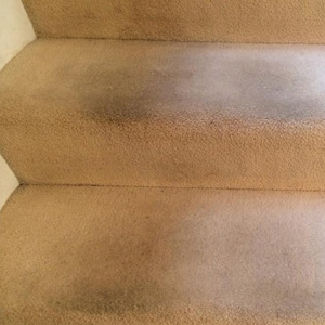 Photograph of work done by Pro-Clean Carpets