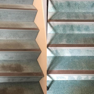 Photograph of work done by Pro-Clean Carpets