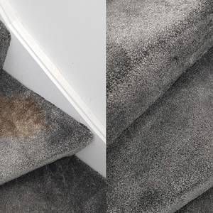 Photograph of work done by Pro-Clean Carpets