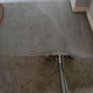 Photograph of work done by Pro-Clean Carpets