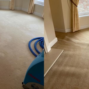 Photograph of work done by Pro-Clean Carpets