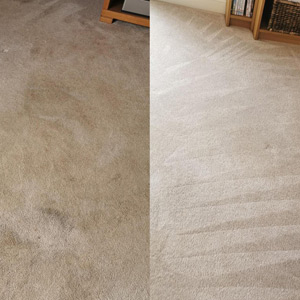 Photograph of work done by Pro-Clean Carpets