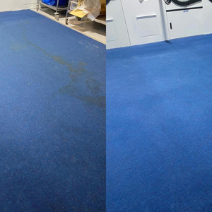 Photograph of work done by Pro-Clean Carpets